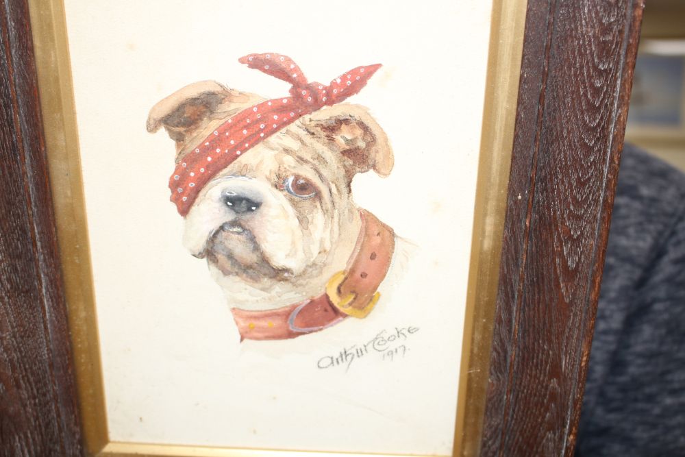 Arthur Cooke (1867-1951) watercolour, Bulldog with an eye patch, signed and dated 1917, 25 x 18cm